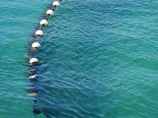 Submerged shark net with buoys in water background