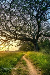 Obraz premium Sunset by the lake