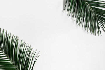 Fototapeta premium Summer composition. Tropical palm leaf on pastel gray background. Summer concept. Flat lay, top view, copy space
