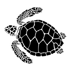 vector illustration of turtle,graphic sea turtle