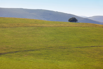 Forest mountain landscape in Asturias. Nature tourism in Spain