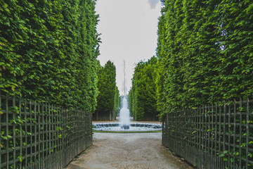 Path between trees leading to fountain in the Garden of Versailles, near Paris, France