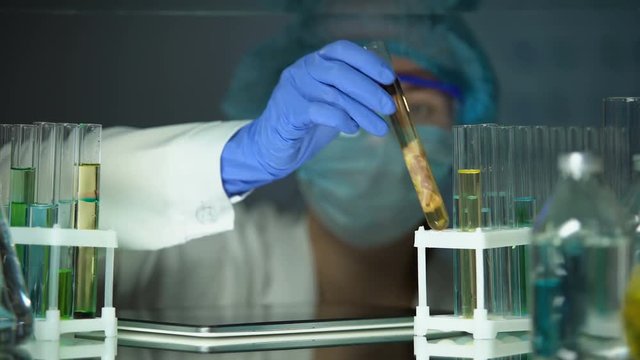 Researcher studying meat sample in preservative agent and typing results on tab
