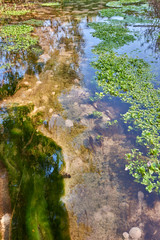 Sources of clean water