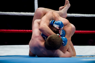 Mixed martial fighters on the ground of arena during competition. Two MMA fighters fight on floor...