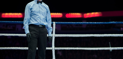 sports referee in a ring boxing game