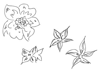 Hand Drawn Vector Illustrations Of Abstract Set of Flowers Isolated on White. Hand Drawn Sketch of a Flowers