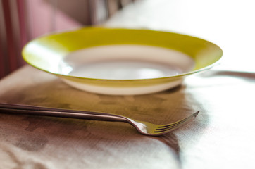 a plate and a fork on the table