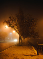 Bridge over the river in the city at night in the fog