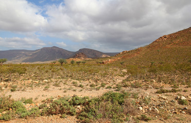 Socotra island, Yemen, Indian ocean