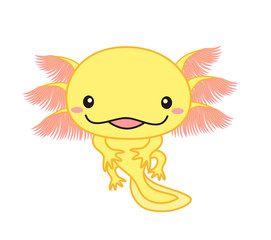 ウーパールーパー　全身　 イラスト　ゴールデン　アルビノ