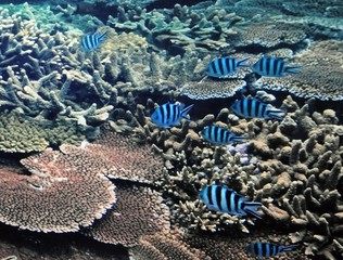 Im Aquarium in Palma © Jutta Adam