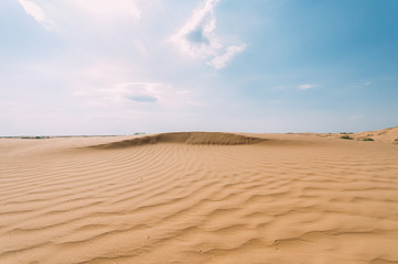 Fototapeta na wymiar Desert with sand dunes on a clear sunny day. Desert landscape.