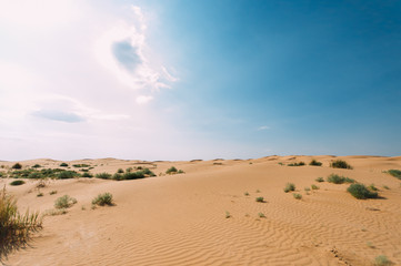 Desert with sand dunes on a clear sunny day. Desert landscape.