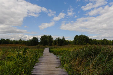 Fototapeta premium road in field
