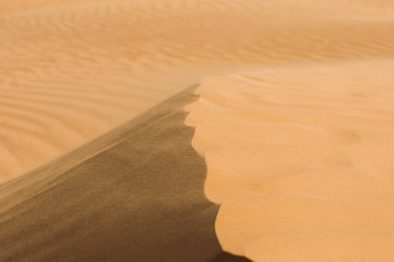 Desert with sand dunes on a clear sunny day. Desert landscape.
