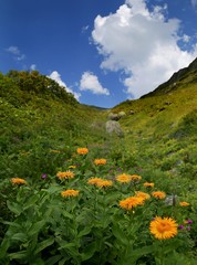 Obraz premium amazing landscape photos.artvin/turkey/savsat