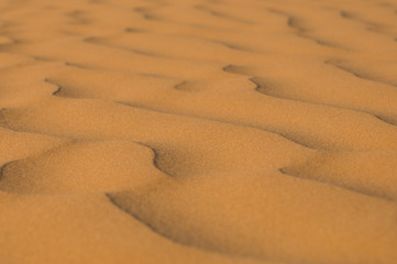Desert with sand dunes on a clear sunny day. Desert landscape.