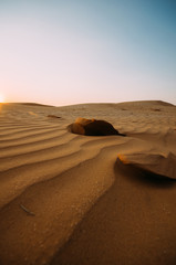Desert with sand dunes on a clear sunny day. Desert landscape.