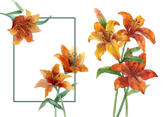 lily orange watercolor art 