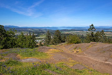 Bear Hill summit in Saanich, BC