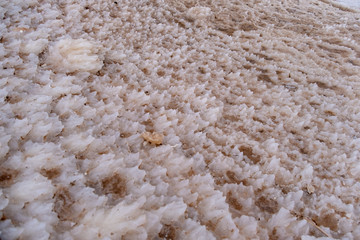 Salt formations on Dead sea coastline in Jordan