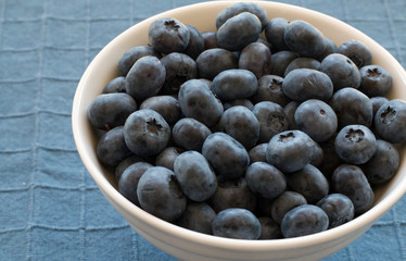 Blueberries in a white bowl on blue background
