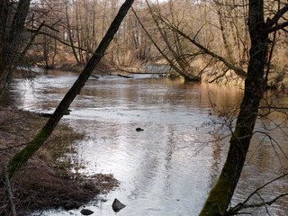 the beginning of spring. wild fast river among the thickets