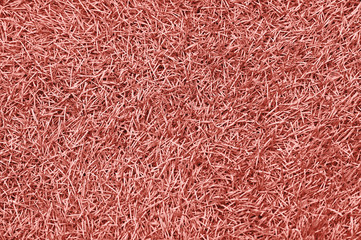 Field grass background.