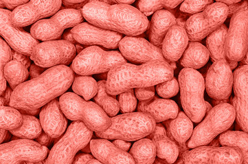 Dry roasted peanuts.