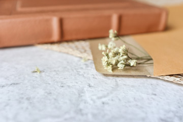 Brown leather vintage notebook, brown craft envelope, dried flower on bright white and gray concrete color texture table top with empty copy space. Education, travelling, letter, romantic concept. 