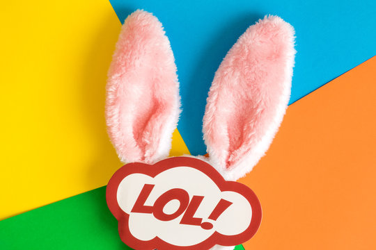 Flat lay of rabbit ears and lol sticker on multicolored background holiday abstract.