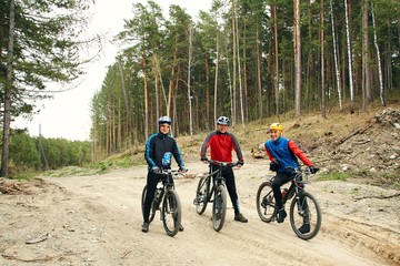 Fototapeta premium group of cyclists on a forest road