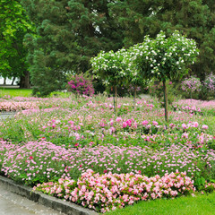 Summer park with beautiful flower beds and lawn.