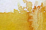 Yellow Watercolour Background