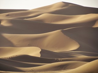 Fototapeta na wymiar Spectacular views in Sahara Desert. Sun colours its Beautiful Sand Dunes and creates astonishing shadows effects. Camel trekking and night in tents is a must