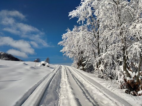 Paisaje de invierno con monta&ntilde;as y nieve en Rumania, pueblo de Parva, Transilvania