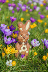 Easter holidays concept. Easter sweet chocolate rabbit