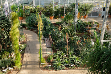 Interrior of a botanical greenhouse.