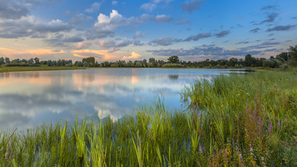 Lush River bank vegetation in forelands Blauwe Kamer
