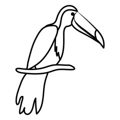 toucan exotic bird icon