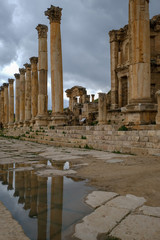 Old Roman city Jerash ruins in Jordan - The cardo maximus 