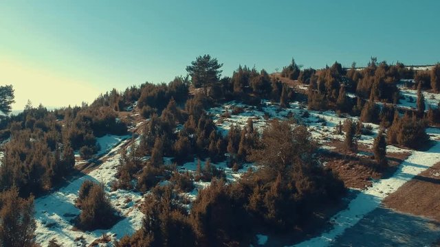 Aerial drone going up above forest of pines covered with some snow revealing in the distance Tlst&aacute; and Ostr&aacute; mountains in the Turiec region of Slovakia.