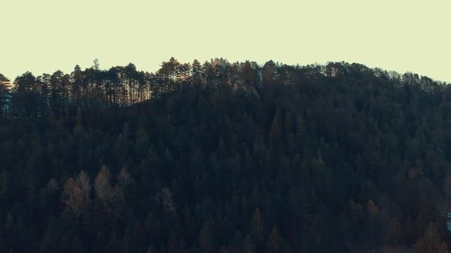 Aerial drone footage going up over forest of pine trees that surrounds castle Blatnica in the Turiec region of Slovakia