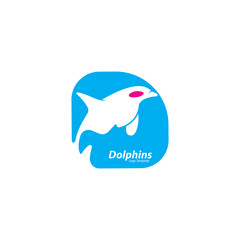 vector dolphins logo with color blue