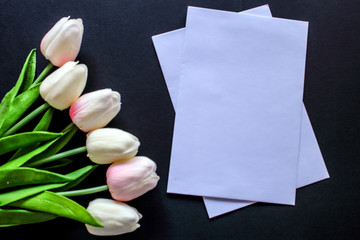 tulips and blank card