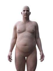 3d rendered medically accurate illustration of an obese male