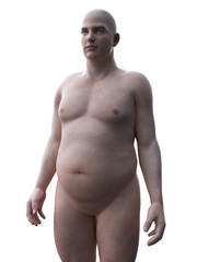 3d rendered medically accurate illustration of an obese male