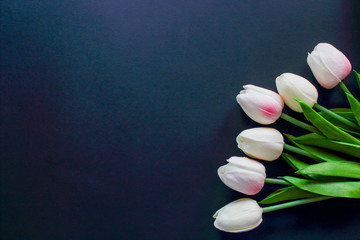 tulips on a black background