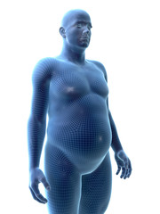 3d rendered medically accurate illustration of an obese male